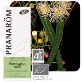 PRANAROM HUILE ESSENTIELLE EUCALYPTUS RADIE 10ML