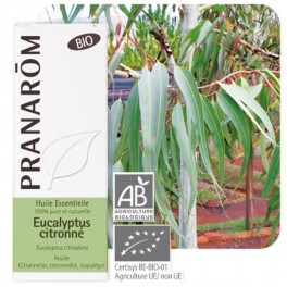 PRANAROM HUILE ESSENTIELLE EUCALYPTUS CITRONNE 10ML