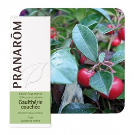 PRANAROM HUILE ESSENTIELLE GAULTHERIE 10ML PRANAROM HUILE ESSENTIELLE GAULTHERIE 10ML