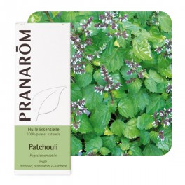 PRANAROM HUILE ESSENTIELLE PATCHOULI 5ML