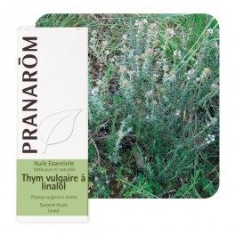 PRANAROM HUILE ESSENTIELLE THYM LINALOL 5ML PRANAROM HUILE ESSENTIELLE THYM LINALOL 5ML