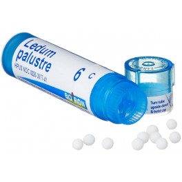 LEDUM PALUST Boiron 9CH 4g LEDUM PALUST Boiron 9CH 4g