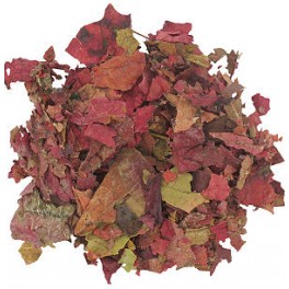 PLANTE VIGNE ROUGE 100G PLANTE VIGNE ROUGE 100G