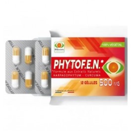 BIOPREVENT PHYTOFEN GELUL X12