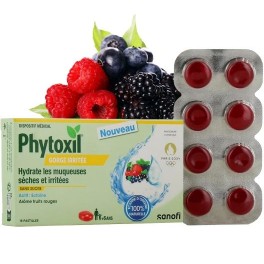 PHYTOXIL GORGE IRRITEE FR RGE 16