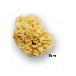COUT'COEUR EPONG 100% NAT 8CM1 COUT'COEUR EPONG 100% NAT 8CM1