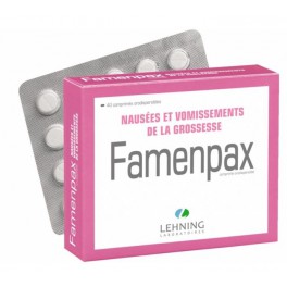 FAMENPAX X40