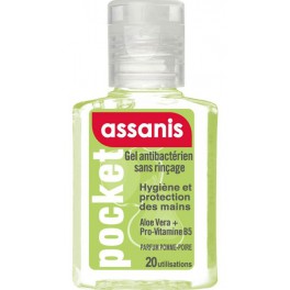 ASSANIS POCKET POMME POIRE GEL 20ML