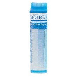 BOIRON ARNICA MONTANA 9CH TU.GRANULES BOIRON ARNICA MONTANA 9CH TU.GRANULES