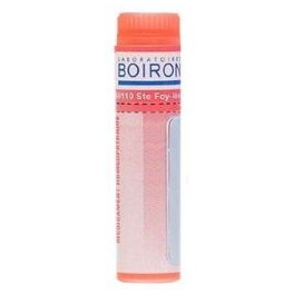 BOIRON ARNICA MONTANA 7CH TU.GRANULES BOIRON ARNICA MONTANA 7CH TU.GRANULES