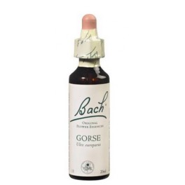 GORSE - FLEUR DE BACH 20ML