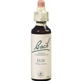 ELM - FLEUR DE BACH 20ML ELM - FLEUR DE BACH 20ML