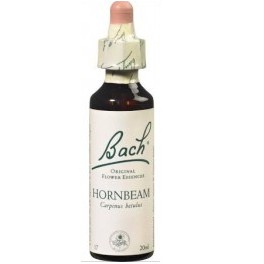 HORNBEAM - FLEUR DE BACH 20ML