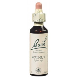 WALNUT - FLEUR DE BACH 20ML