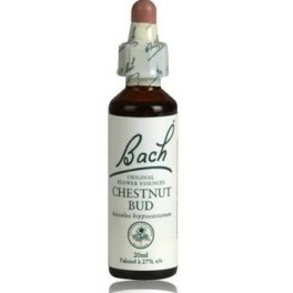 CHESNUT BUD - FLEUR DE BACH 20ML